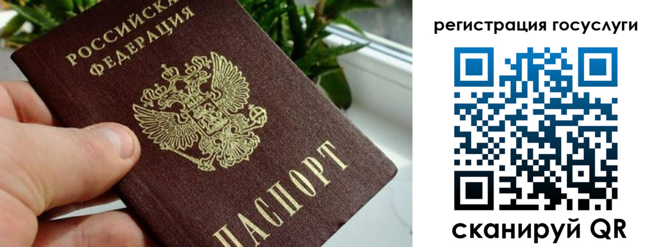 прописка для кредита в Никольском